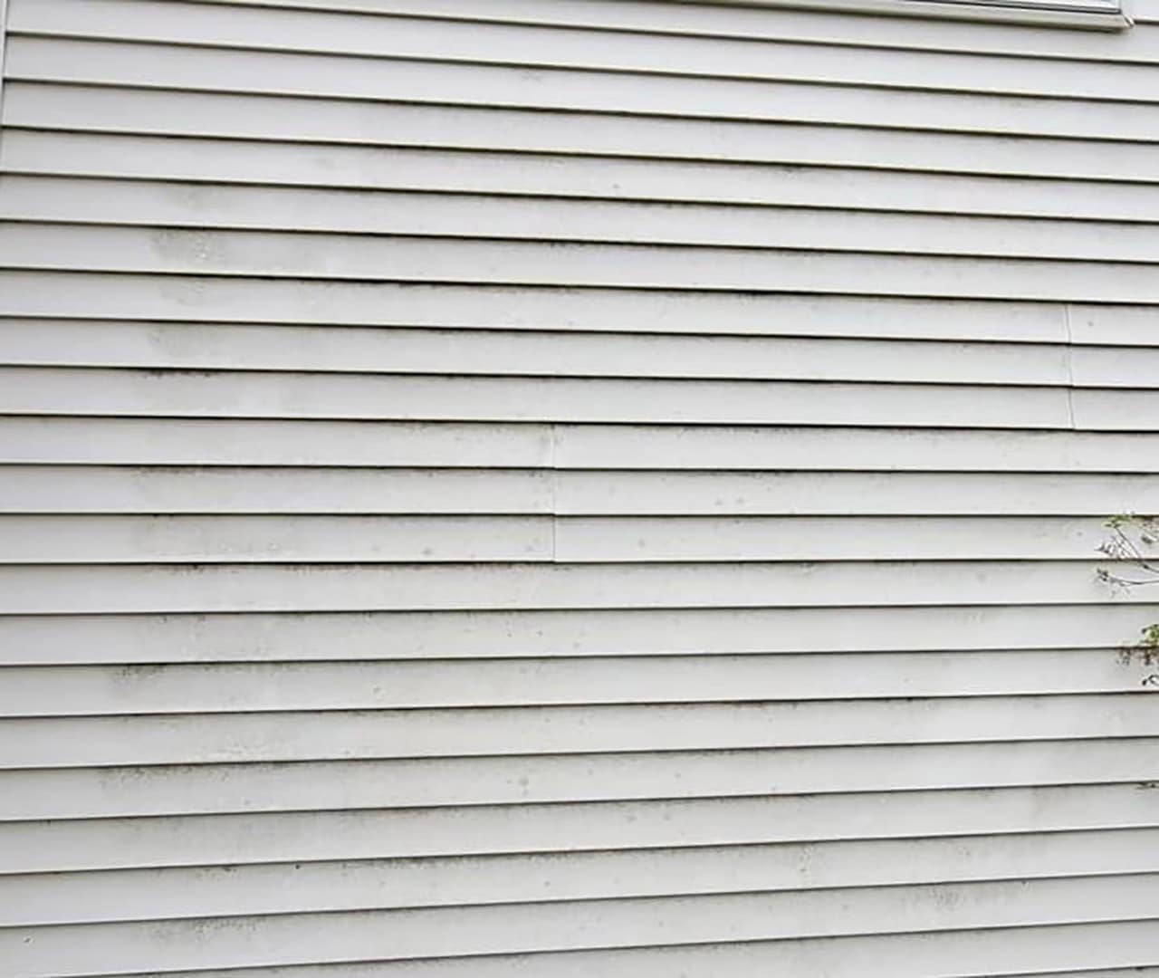 Before pro clean mobile wash cleaned this vinyl siding